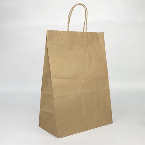 paper bag with pp cord handle brown color